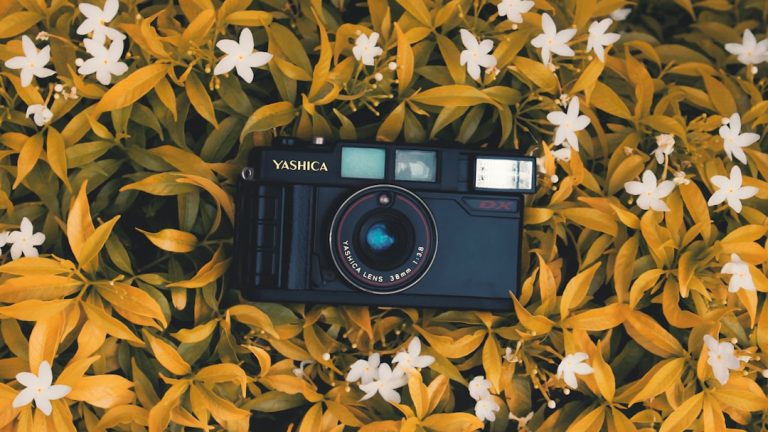 Capturing Moments: A Guide to Essential Photography Gears